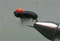 mucha The Foam Beetle